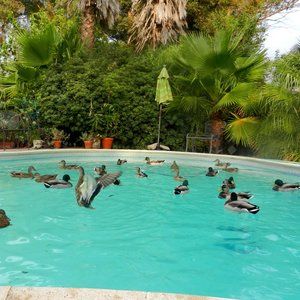 Note to SHARERS of onceuponakind